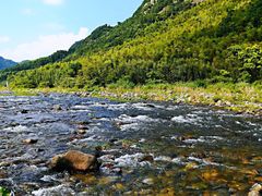 -九鲤溪瀑景区