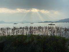 -湖畔居茶楼(湖滨店)