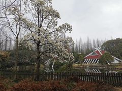 -东平国家森林公园
