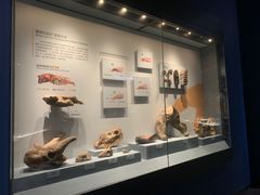 -湖南省地质博物馆