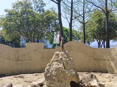 -达蓬山星梦乐园