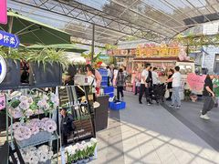 -京北渔家傲