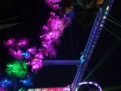 -黄腾峡天门悬廊