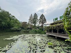 -绿茶餐厅(龙井船宴· 品牌总店)