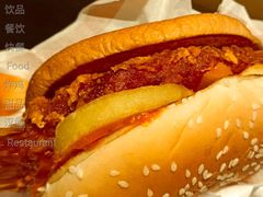 大盘鸡风味麦辣鸡腿汉堡-麦当劳(四平路店)