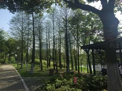 -尚贤河湿地