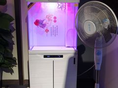 -中环花鸟鱼虫市场