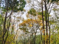 -上海吴淞炮台湾国家湿地公园