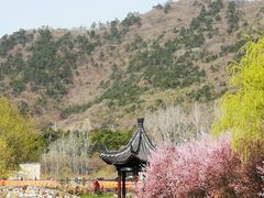 -石塘人家
