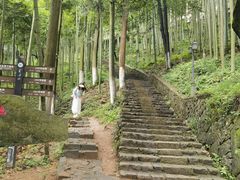 -莫干山风景区