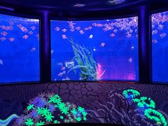 -沈阳海洋探索中心