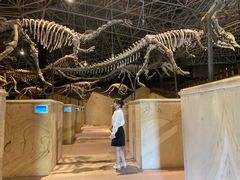 -世界恐龙谷景区