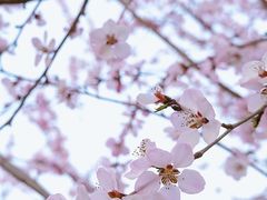 景点-元大都城垣遗址公园