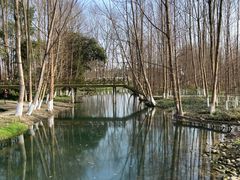 -桤木河湿地公园