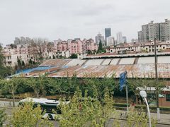 -佬肥猫(国华广场店)