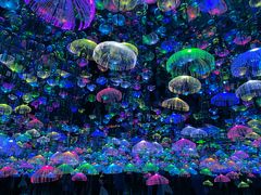 -天津梵高星空艺术馆(天河城旗舰店)