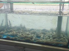 -金沙滩海鲜餐厅(梅江龙水园店)