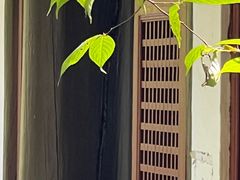-磐安十八涡景区