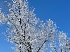 -中旅松花湖滑雪场