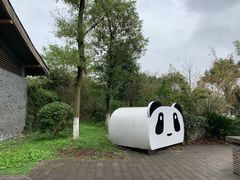 -都江堰中华大熊猫苑