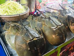 -席娜卡琳火车铁道夜市