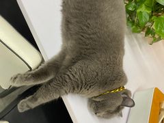 -贝利宠物医院·骨科·眼科·肿瘤转诊中心(南坪诊疗中心)