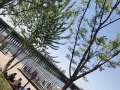 -长白岛森林公园