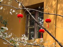 -龙华寺
