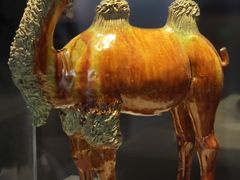 -贵州省博物馆(新馆)