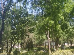 -东升八家郊野公园