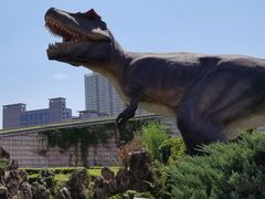 -陕西自然博物馆