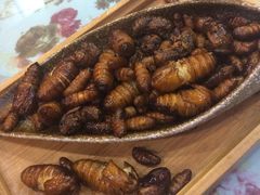 -土菜水饺村(宁夏路店)