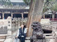-晋祠公园
