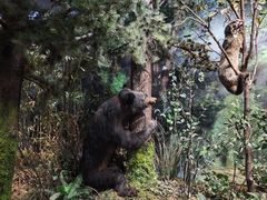 -陕西自然博物馆