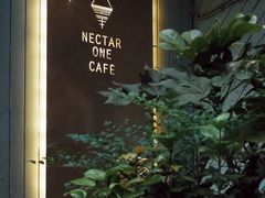 -Nectar One Cafe(勇烈路n1店)