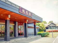 -金鸡湖桃花岛