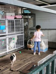 点击看大图 -小蜜蜂农场(凯德七宝购物广场店)
