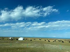 -青海湖国家重点风景名胜区