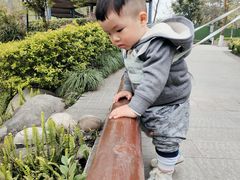 -成飞公园