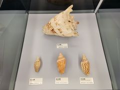 -天津古林古海岸遗迹博物馆