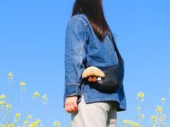 -光明小镇欢乐田园