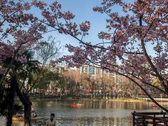 -新江湾城公园