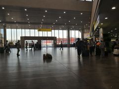 -谢列梅捷沃国际机场