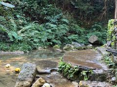 -桂林古东瀑布景区