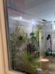 点击看大图 -爱儿美儿童摄影(五路居花园别墅店)