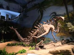 -自贡恐龙博物馆