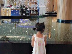 -青岛海尔洲际酒店