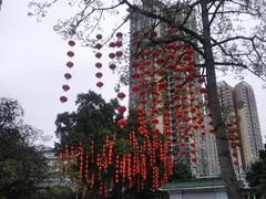 -晓港公园