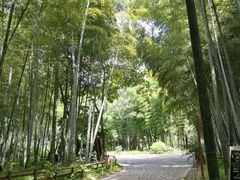 -同里国家湿地公园