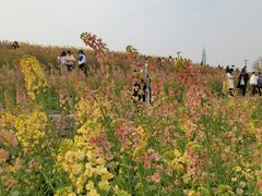 -三圣花乡旅游区